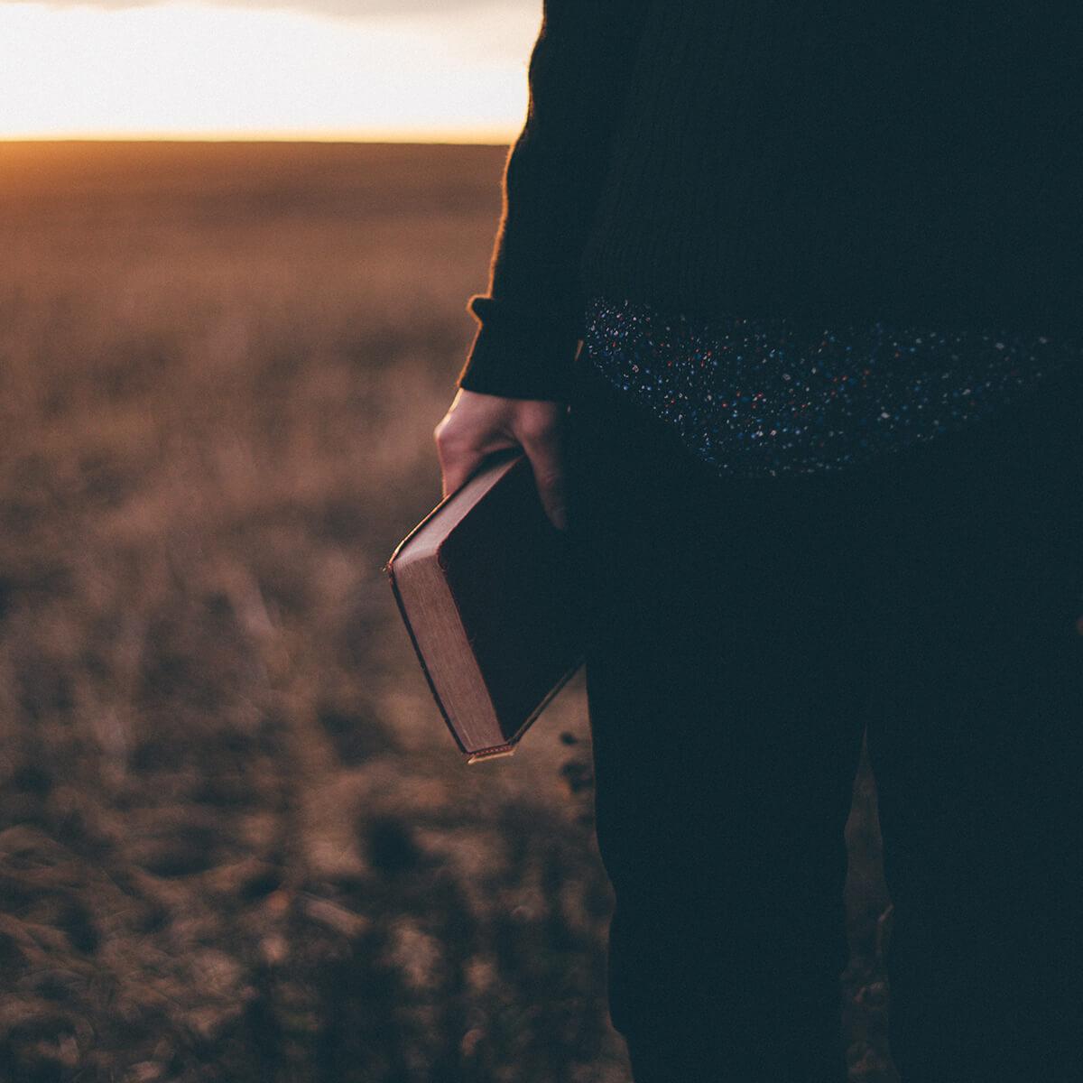 Gemeinsam sind wir stark Gemeinsam sind wir stark