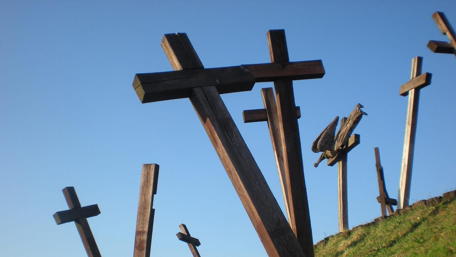 Kreuze auf der Wiese